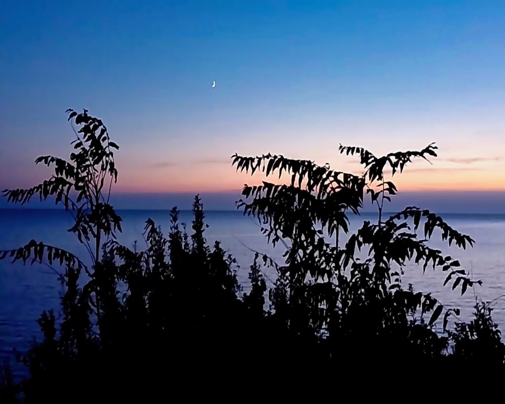 Sunset with crescent moon against silhouetted foreground