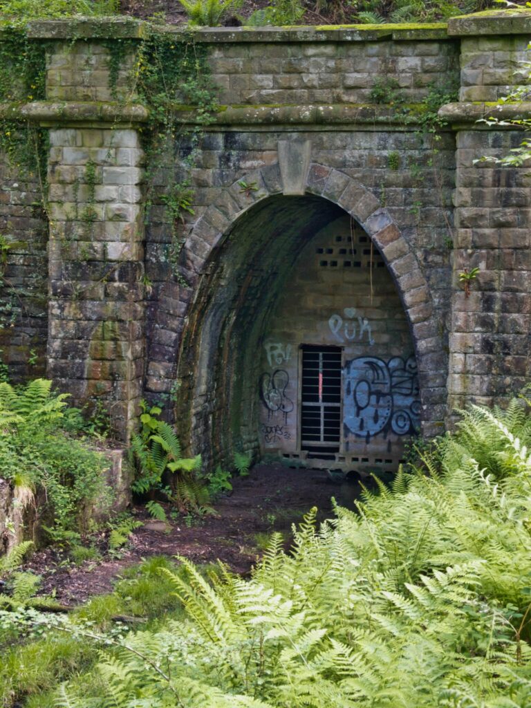 Mierystock Tunnel closeup