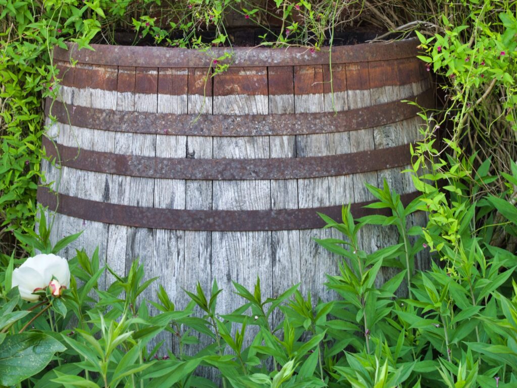 Barrel planter amongst greenery